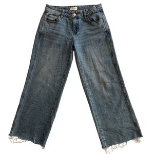Pac Sun Low Rise Baggy Jean